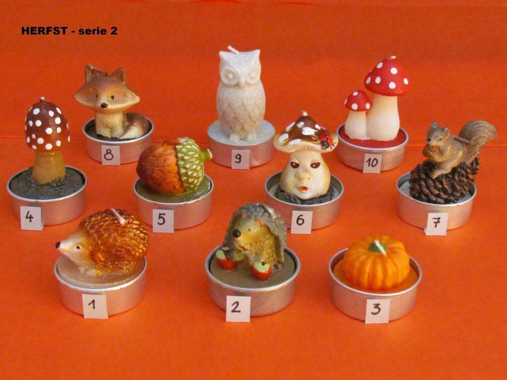 Herfst theelichtjes - serie 2, Maison & Meubles, Accessoires pour la Maison | Bougeoirs & Bougies, Neuf, Bougie, Enlèvement ou Envoi