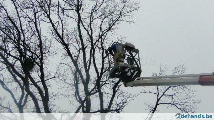 vellen van bomen, Bricolage & Construction, Bricolage & Rénovation Autre, Utilisé, Enlèvement