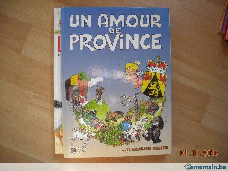 un amour de province, Livres, Enlèvement, Utilisé