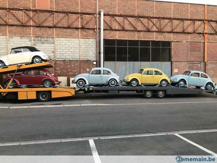 Plusieurs cox kever dispo, Autos, Volkswagen, Rouge, Achat, Toit ouvrant, Berline