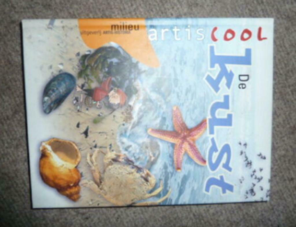 boek DE KUST uit de reeks " Artiscool - Milieu ", Boeken, Kinderboeken | Jeugd | 13 jaar en ouder, Zo goed als nieuw, Non-fictie