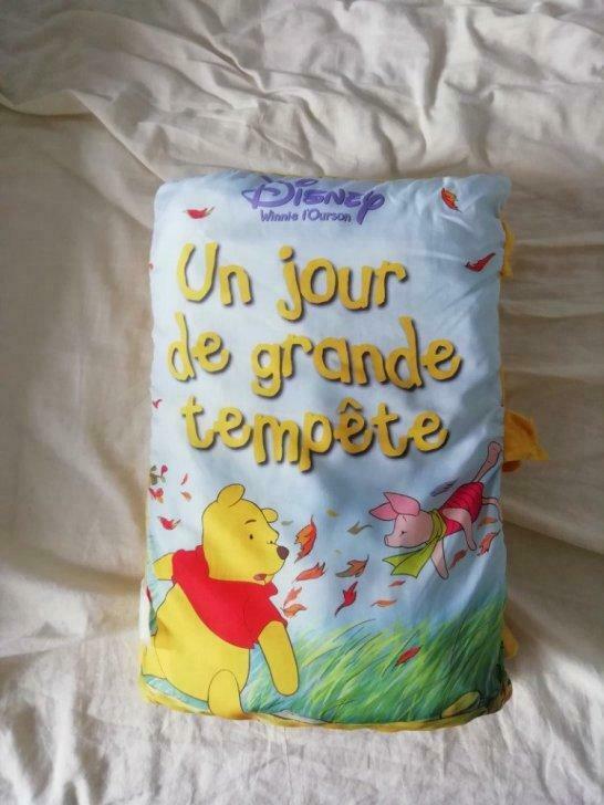 coussin livre, Utilisé