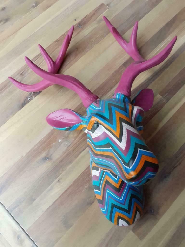 Hoofden van herten en/of neushoorns, Ophalen of Verzenden, Zo goed als nieuw