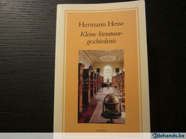 Kleine  literatuurgeschiedenis (Hermann Hesse), Boeken, Ophalen of Verzenden, Gelezen