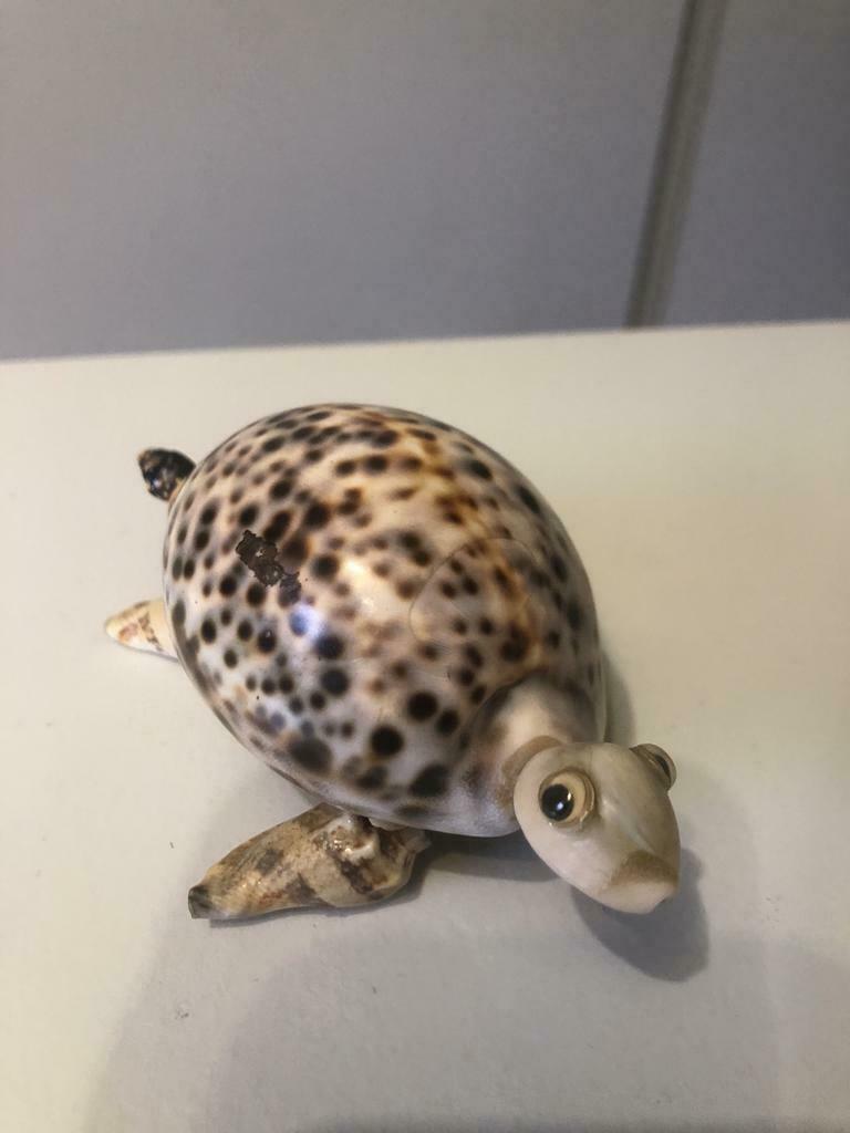 Tortue coquillages 11cm/6cm, Comme neuf