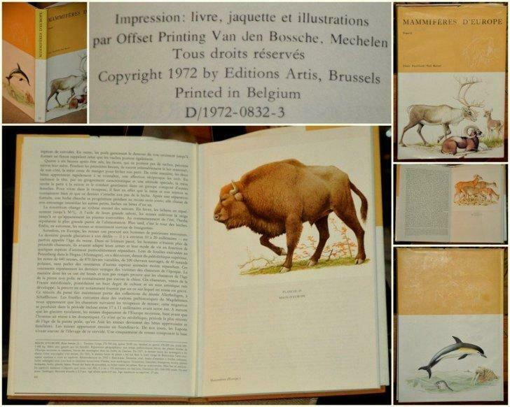 Artis-Historia: mammifères d'Europe ( déjà complété), Antiquités & Art, Enlèvement ou Envoi