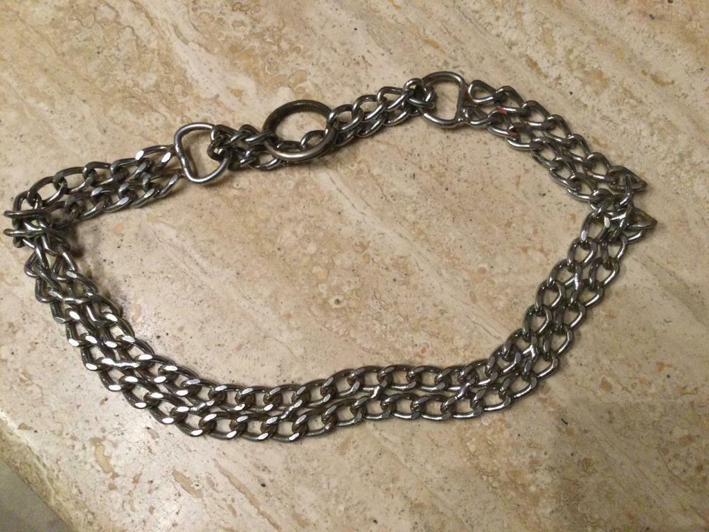 Collier pour chien, Animaux & Accessoires, Utilisé