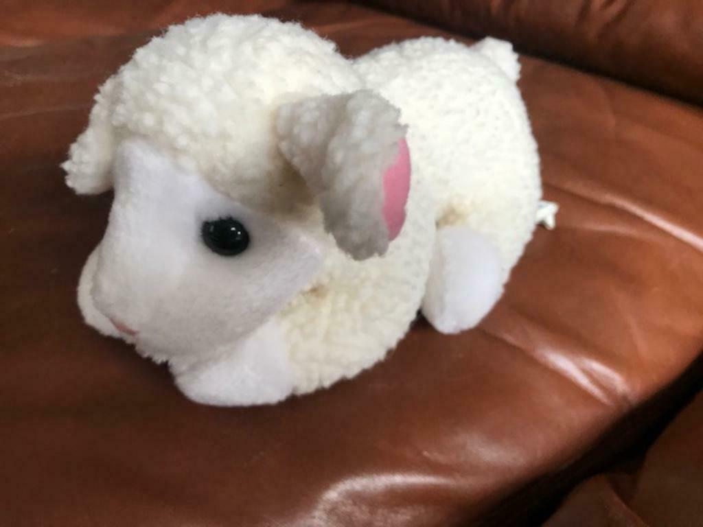 Nieuwe (mach)wasbare knuffel "Schaap" - 16cm (zn1411), Kinderen en Baby's, Speelgoed | Knuffels en Pluche, Ophalen of Verzenden