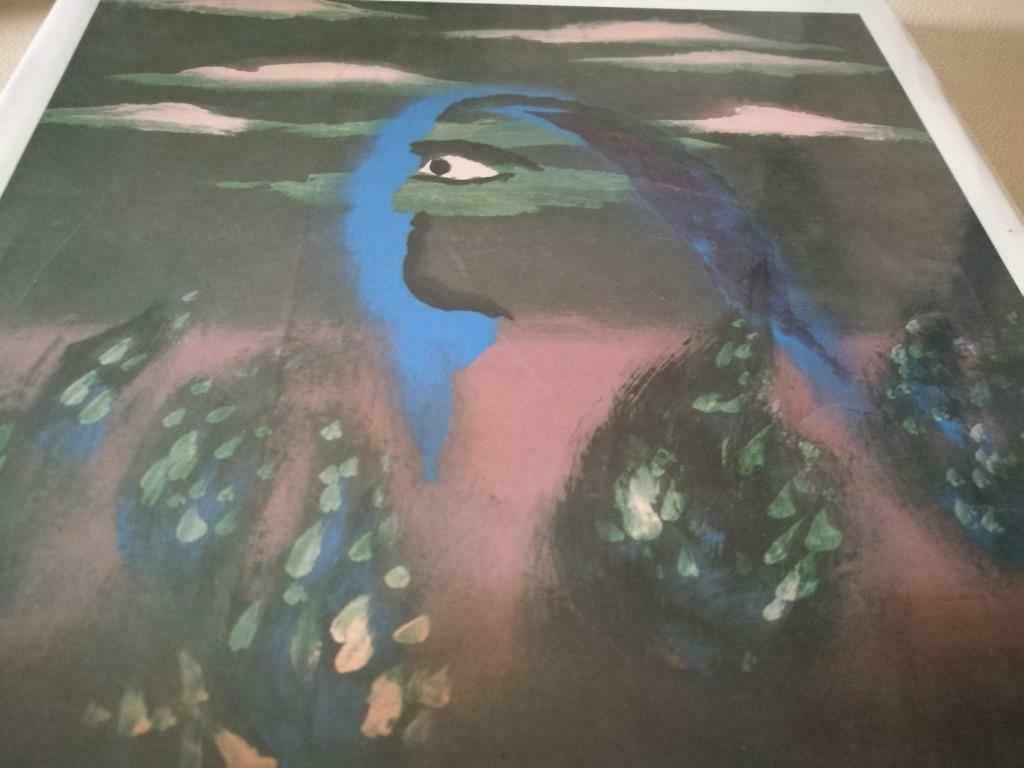 Jan Cox grote monografie schilderijen 255pag Zwarte Panter, Ophalen of Verzenden, Zo goed als nieuw, Schilder- en Tekenkunst