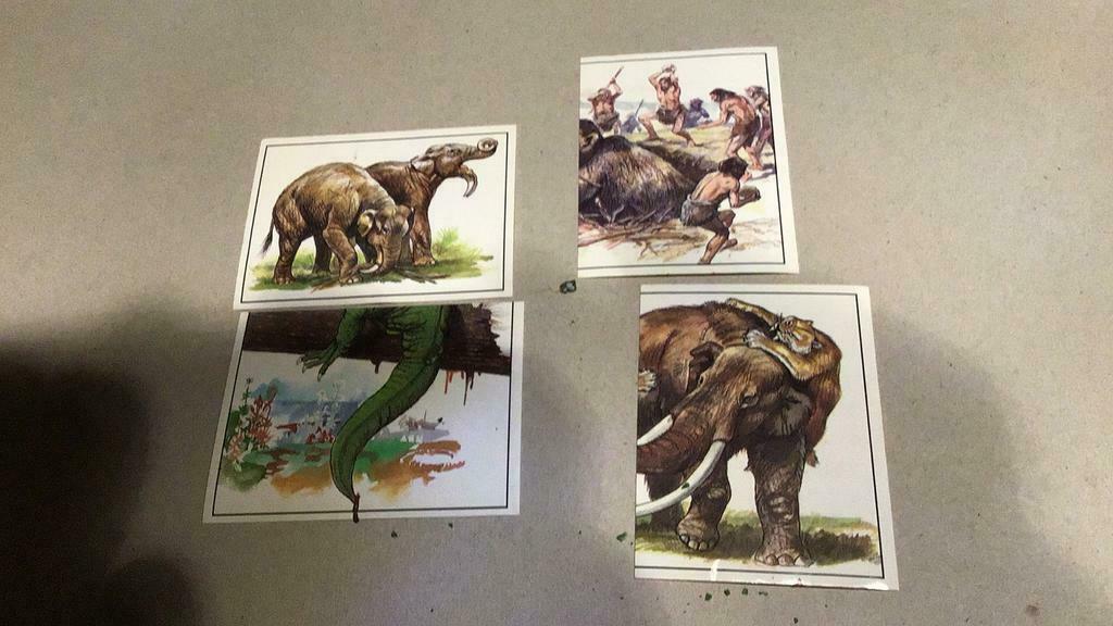 Stickers dinosauriërs & co (x5c), Ophalen of Verzenden, Zo goed als nieuw