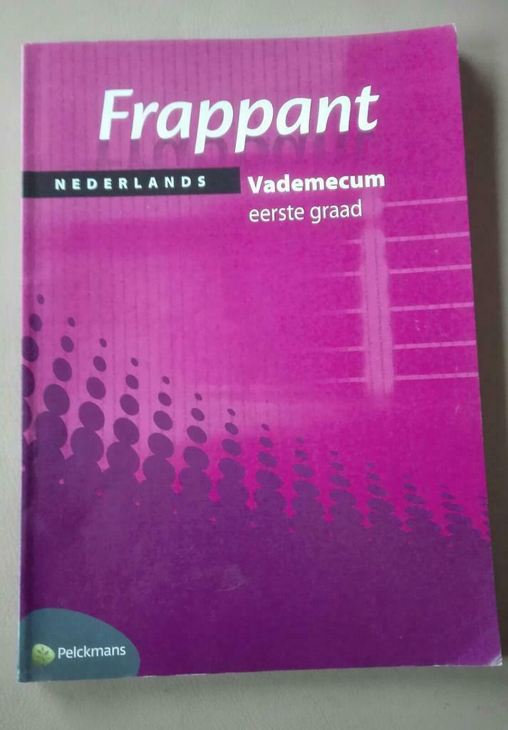 Frappant vademecum 1ste graad, Boeken, Ophalen of Verzenden, Gelezen, ASO, Nederlands