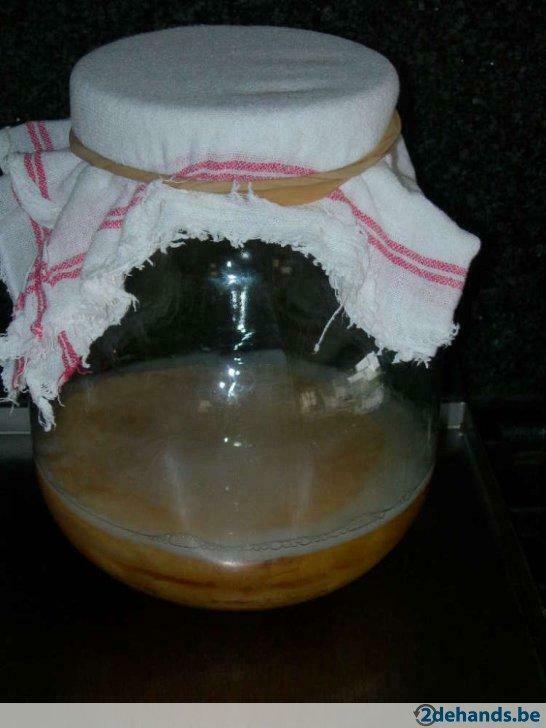 komboecha komboucha theezwam kargasok waterkefir melkkefir, Ophalen, Nieuw