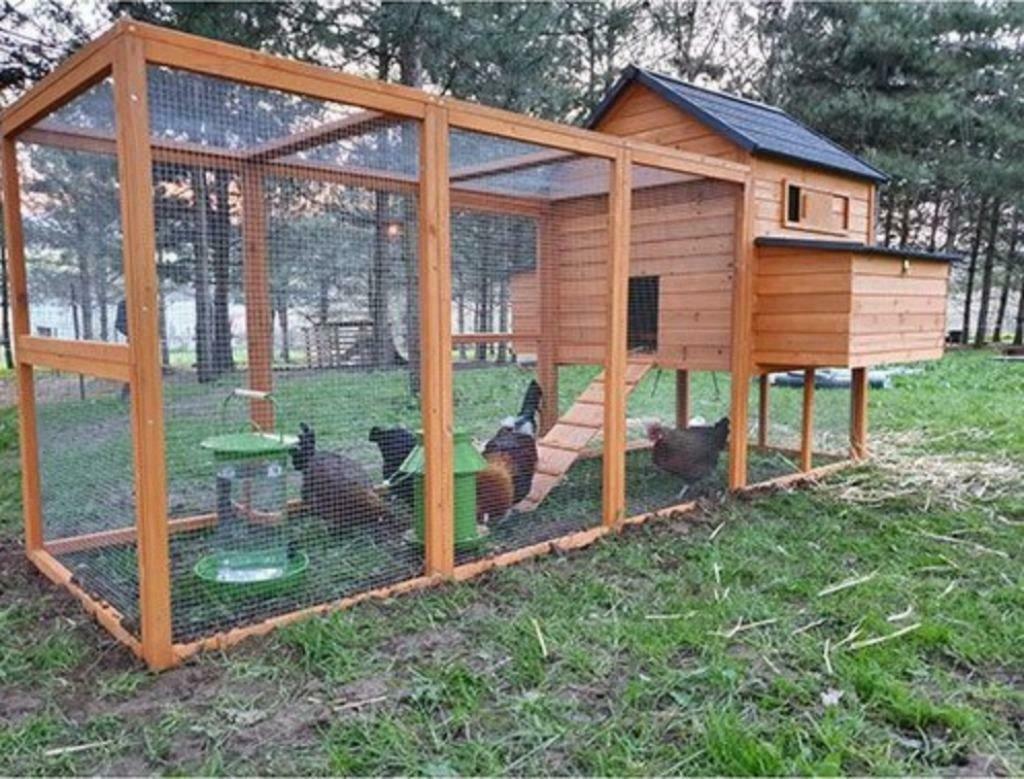 Poulailler GEANT poules maison poule coq abri poules XXL, Animaux & Accessoires, Envoi, Neuf, Poulailler
