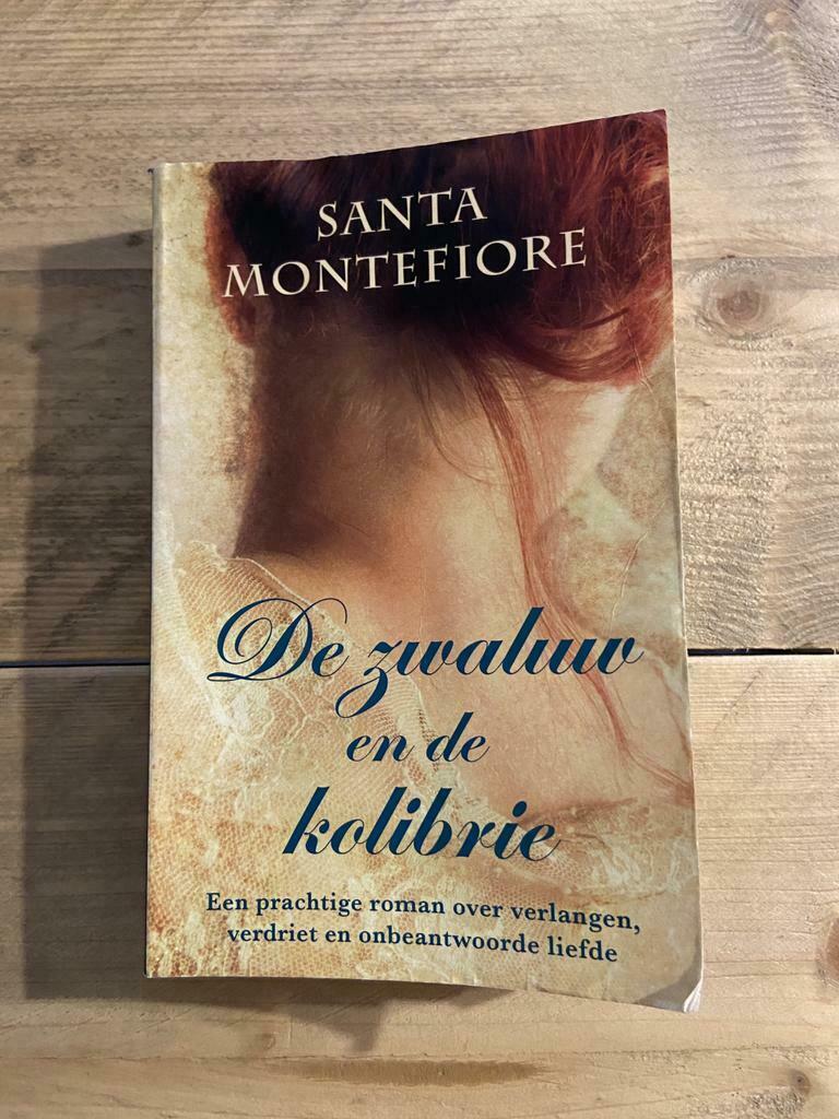 Boek De Zwaluw en de Kolibrie - Santa Montefiore, Ophalen of Verzenden