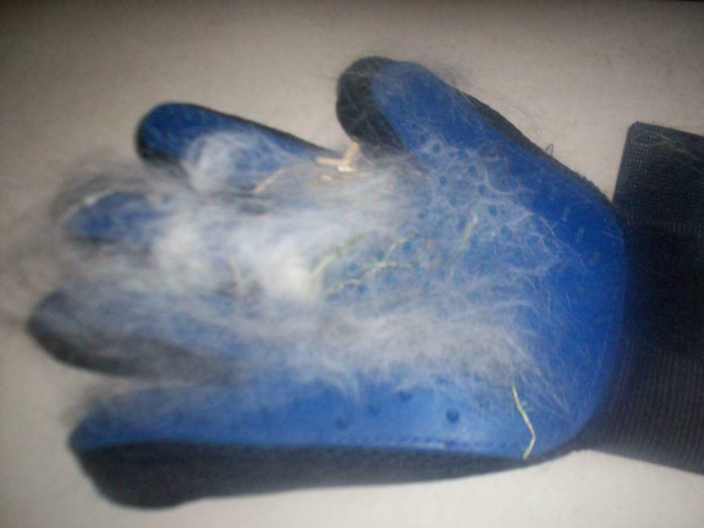 gant pour le brossage des lapins longs poils, Ophalen, Nieuw