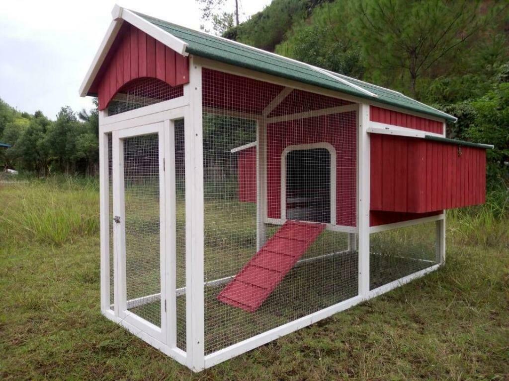 Poulailler 12-14 poules XXL abri poule volaille basse cour, Animaux & Accessoires, Envoi, Neuf, Poulailler