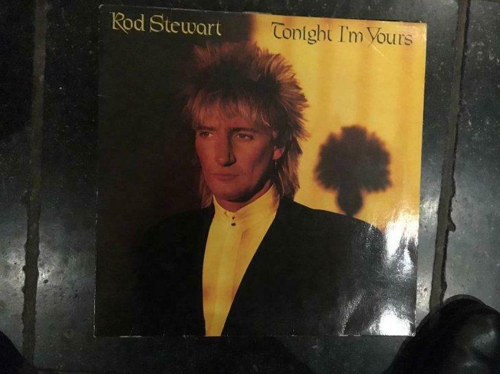 Rod Stewart Tonight I'm yours    lp, Cd's en Dvd's