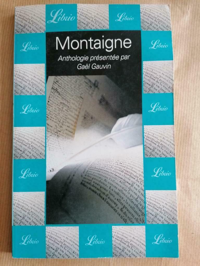 Montaigne - Gaël Gauvin, Boeken, Ophalen of Verzenden, Gelezen