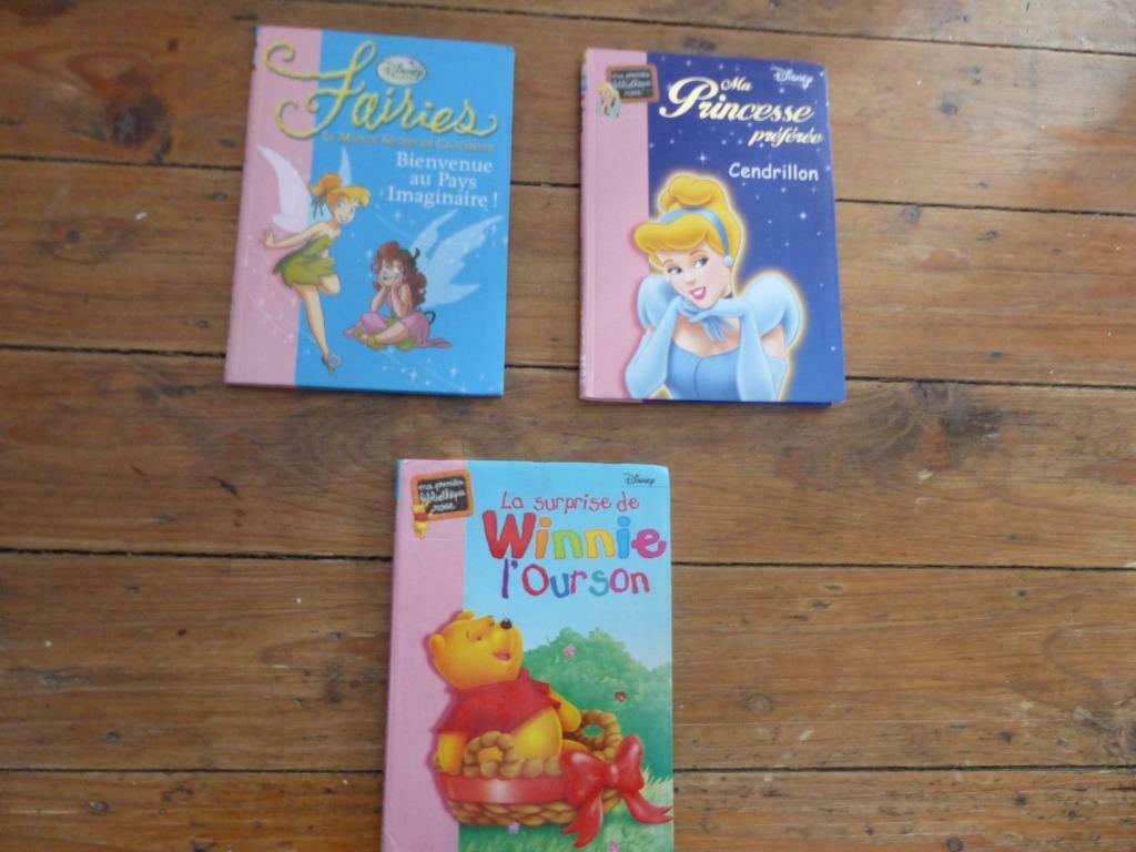 livre pour enfants disney fée clochette, cendrillon,winnie, Livres, Enlèvement, Utilisé