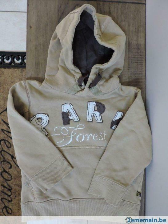 sweat à capuche jean bourget 5 ans, Gebruikt, Jongen, Trui of Vest