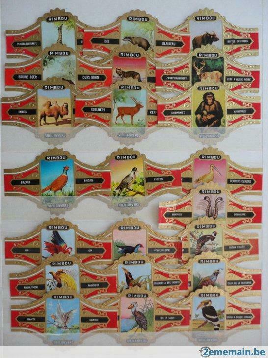 grandes bagues de cigare à 0,25 euro pièce état impeccable, Collections, Articles de fumeurs, Briquets & Boîtes d'allumettes, Enlèvement ou Envoi