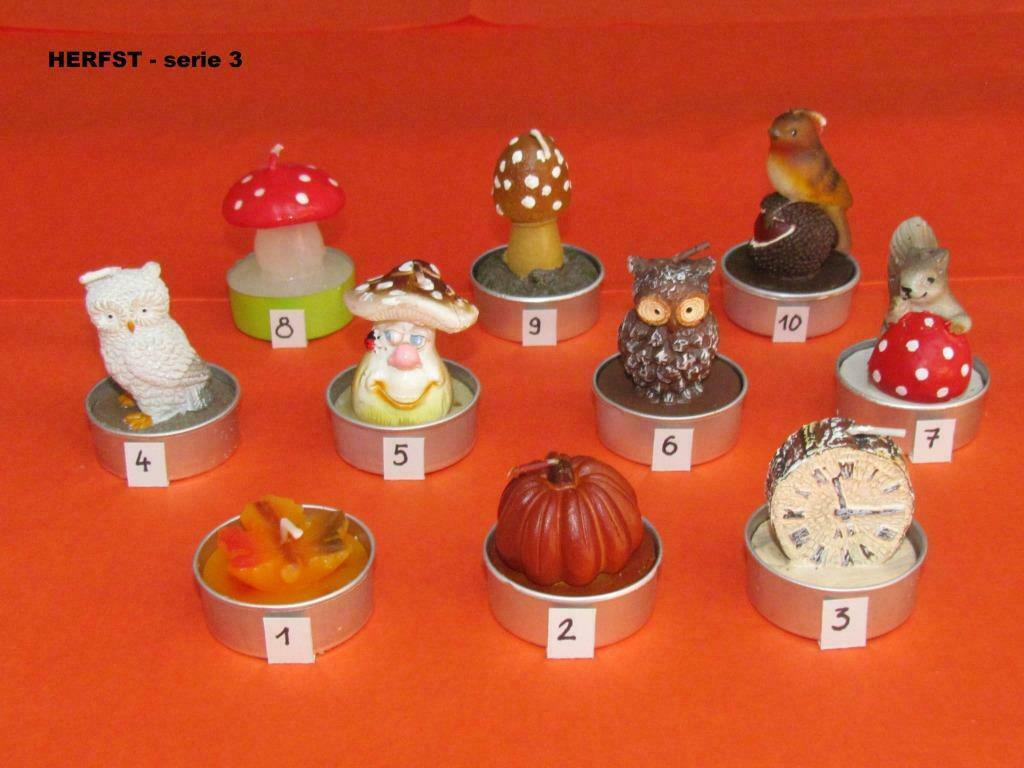 Herfst theelichtjes - serie 3, Ophalen of Verzenden, Nieuw, Kaars