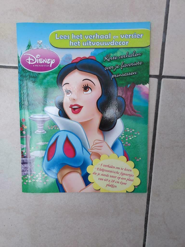 Disney prinsessen, Ophalen of Verzenden, Nieuw, Overige typen