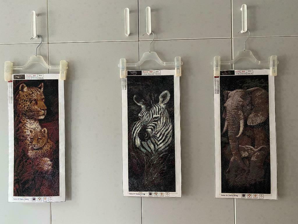 diamond painting, Hobby en Vrije tijd, Knutselen, Nieuw, Ophalen of Verzenden