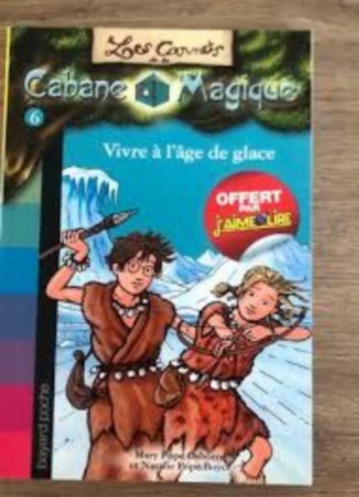La cabane magique 6 Vivre à l'âge de la glace Osborne, Livres, Enlèvement ou Envoi, Utilisé, Fiction général
