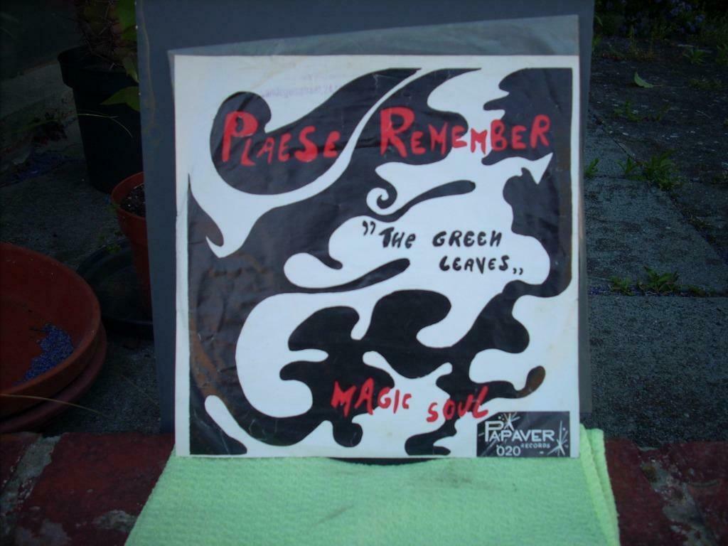 45 t The Green Leaves  'Please Remember', Gebruikt, 7 inch, Single, Ophalen of Verzenden