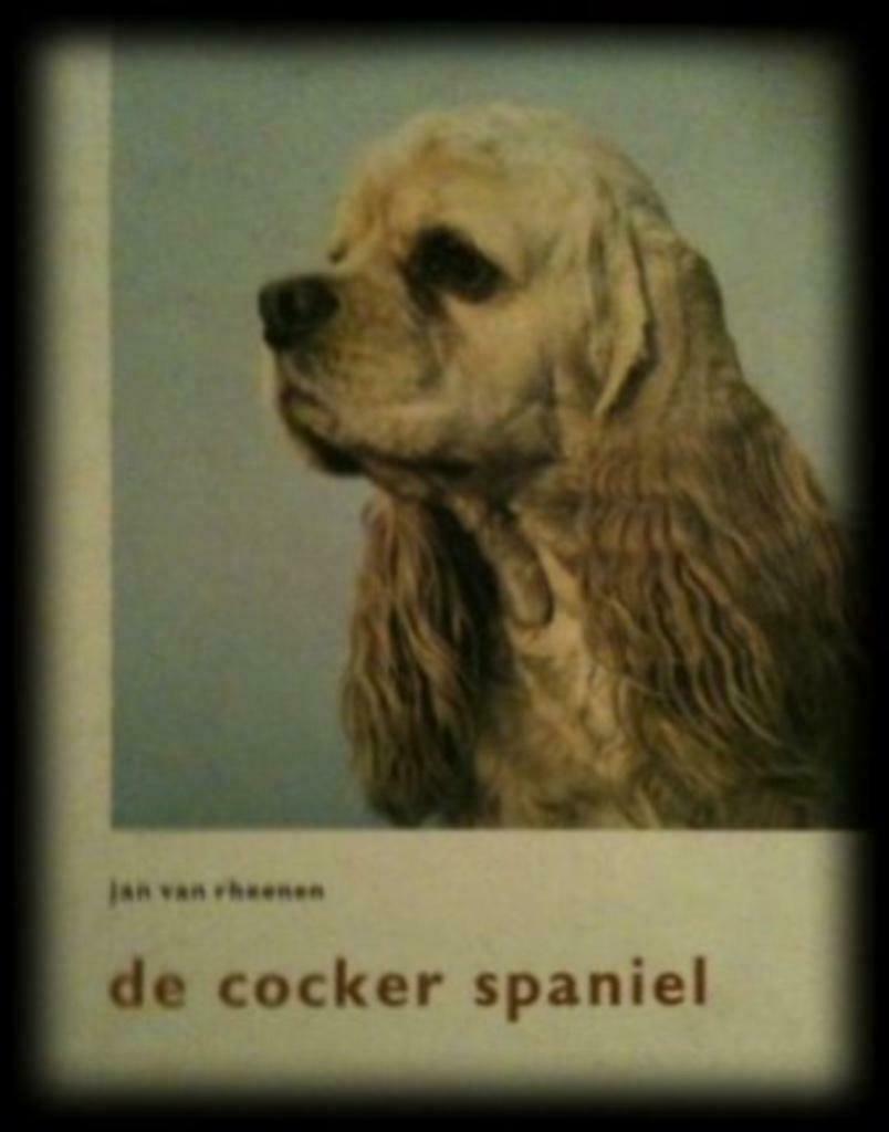 De Cocker Spaniel, Jan, Ophalen, Honden