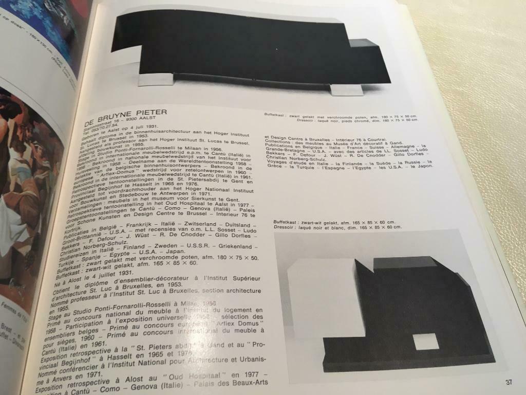 Belgische Kunst met Anthoons Baeyens Bergen Bogart Borgrave, Ophalen of Verzenden, Zo goed als nieuw, Schilder- en Tekenkunst