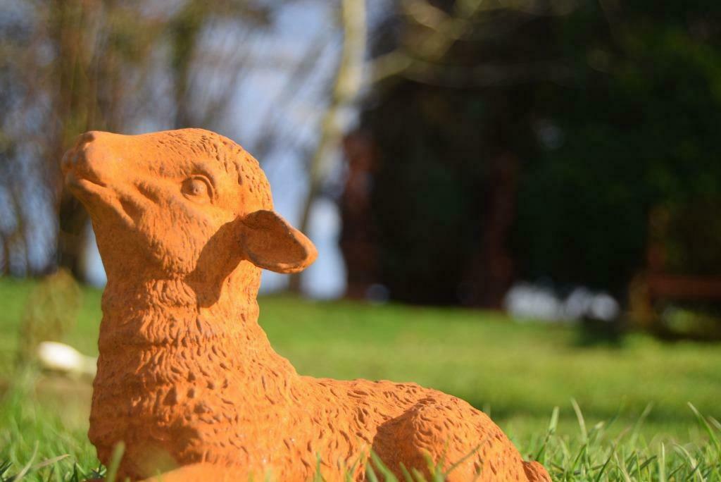 Schitterend gepatineerd gietijzeren schaap, Tuin en Terras, Tuinbeelden, Ophalen of Verzenden, Nieuw, Overige materialen, Dierenbeeld