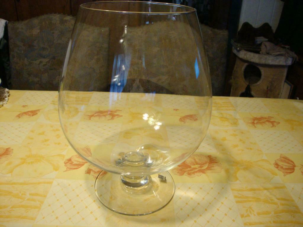 Zeer groot whisky/cognac glas van 38cm hoog op voet, Ophalen, Nieuw, Overige typen