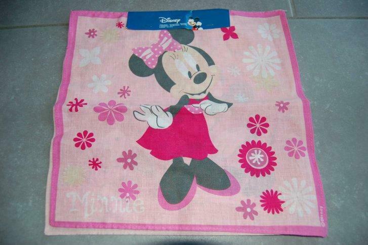 Mickey/Minnie Mouse en vrienden-Accessoires+attributen/Deco, Ophalen of Verzenden, Nieuw