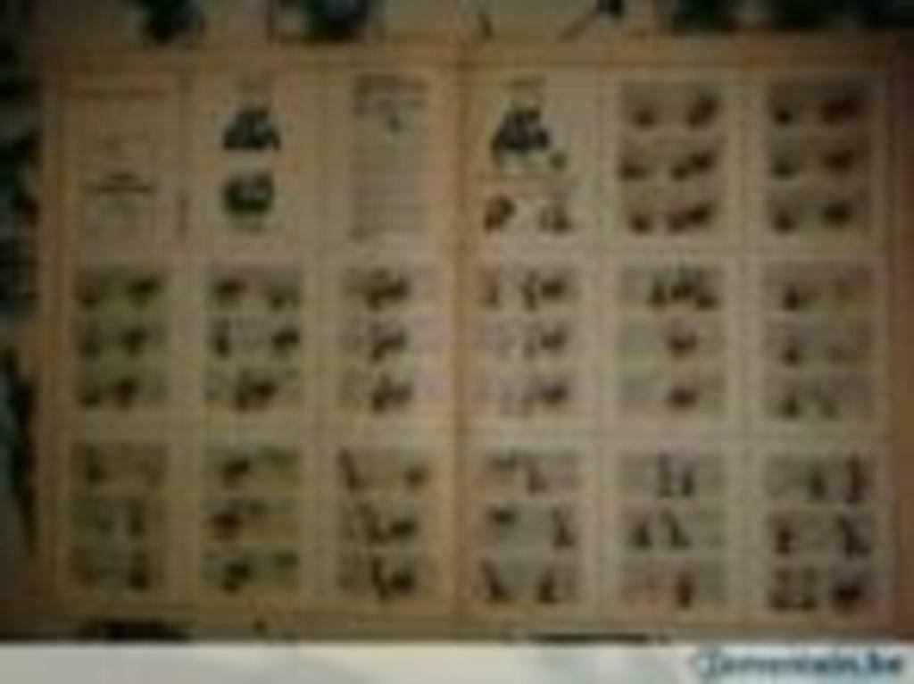 Minit récit spirou 464 bobo k est servi, Livres, Enlèvement ou Envoi