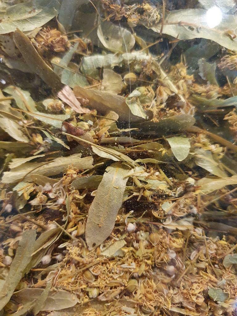 Biologische lindebloesem (gedroogd), Diversen, Levensmiddelen, Ophalen of Verzenden