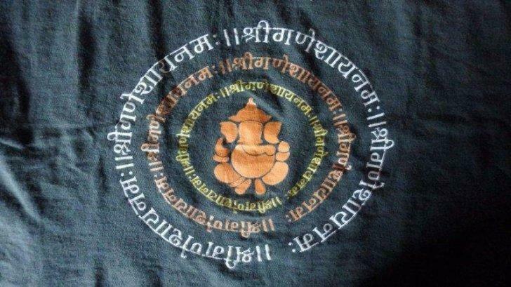 Topje met ganesha, Kleding | Dames, Ophalen, Gedragen, Maat 38/40 (M), Overige kleuren