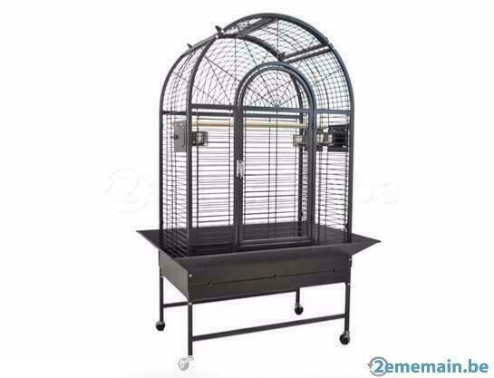 cage perroquet amazone voliere gris gabon  eclectus neuf, Envoi, Neuf
