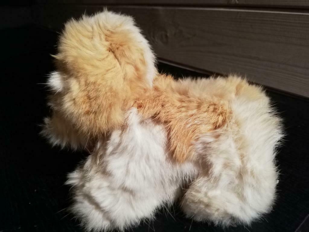 Pluche St. Bernard pup, Ophalen of Verzenden, Zo goed als nieuw, Hond