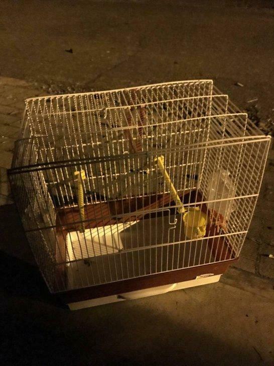 trainer micro senseo hifi poort velgen keuken/kasten iphone, Enlèvement, Utilisé