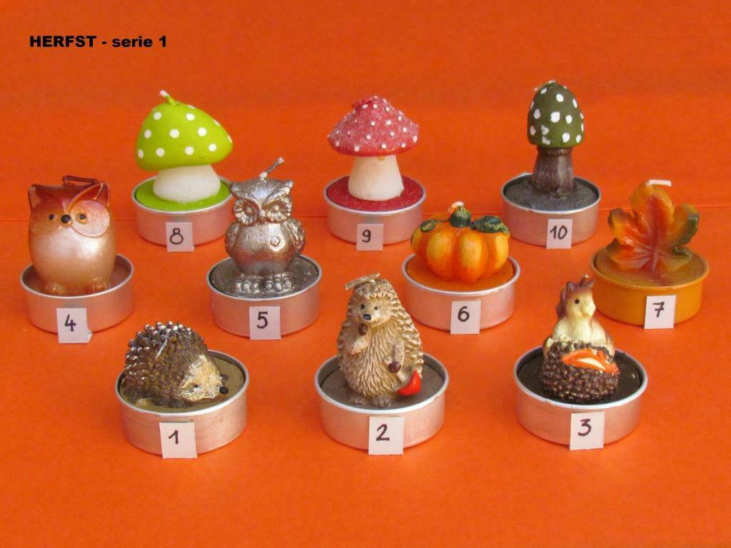 Herfst theelichtjes - serie 1, Ophalen of Verzenden, Nieuw, Kaars