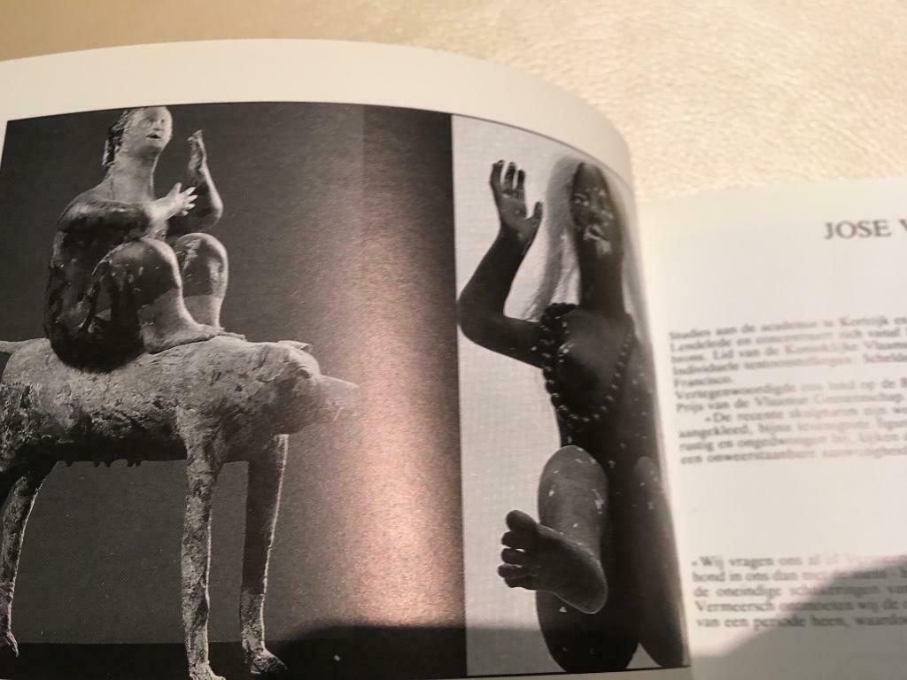 José Vermeersch en dichtkunst 130pag, Ophalen of Verzenden, Zo goed als nieuw, Beeldhouwkunst