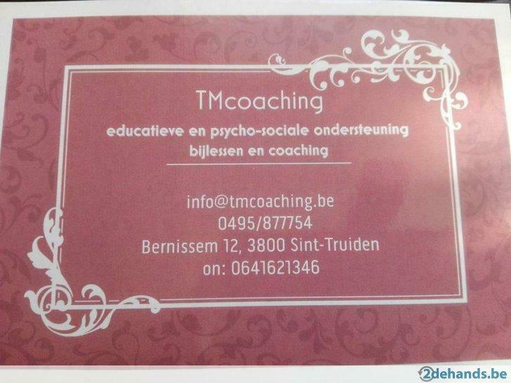 tutorat en mathématiques, Cours particulier, Aide aux devoirs