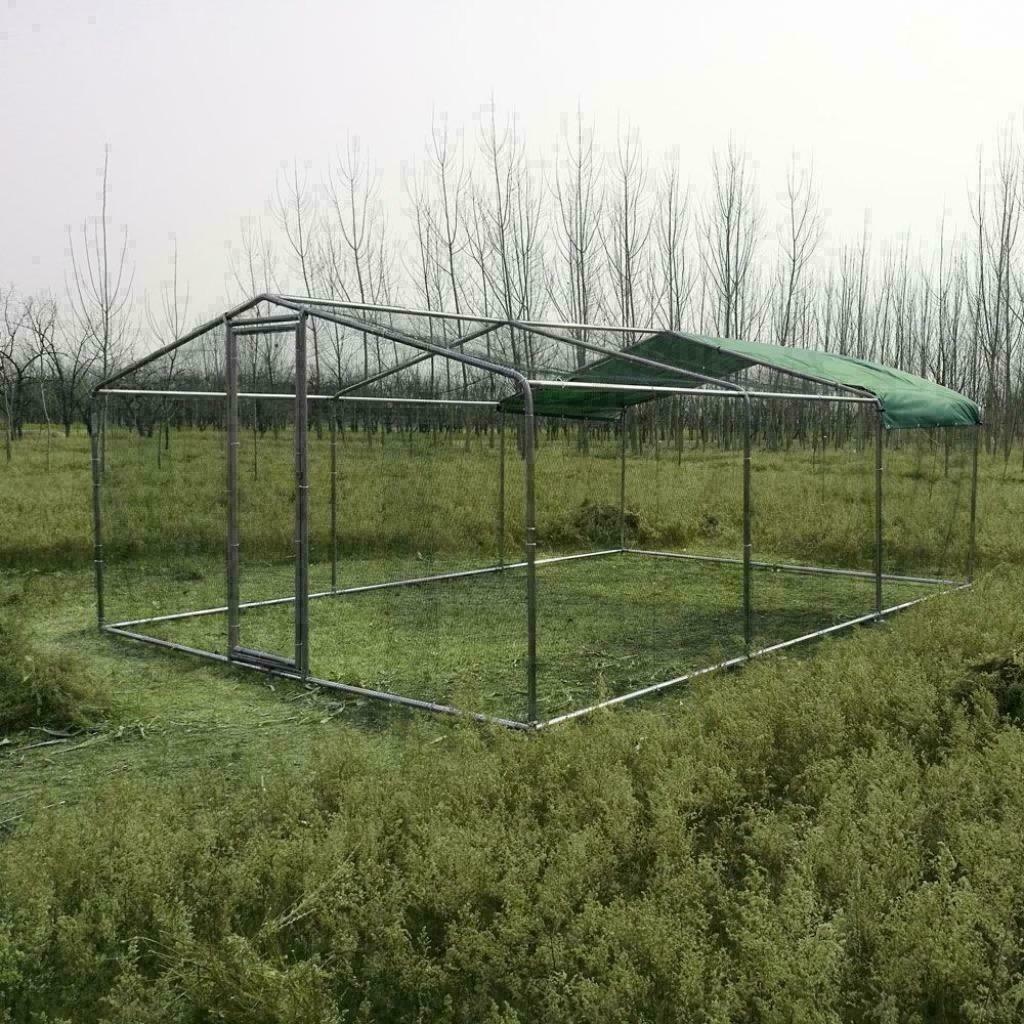 Poulailler 18m² enclos parc poule 6x3x2,25m chatiere voliere, Animaux & Accessoires, Volatiles | Accessoires, Envoi, Neuf, Poulailler