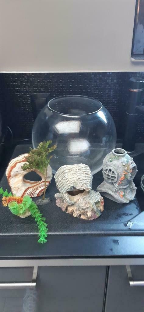 Aquarium complet avec deco, Animaux & Accessoires, Enlèvement, Comme neuf