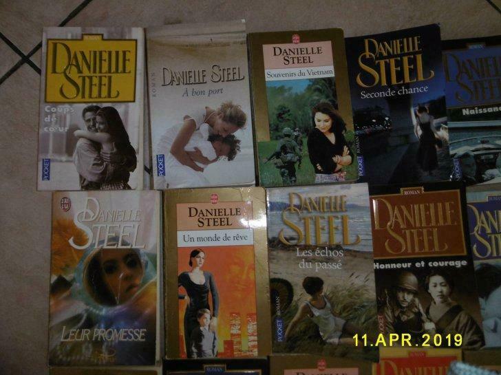 Steel Danielle  à partir de 2,5 euros le livre, Livres, Envoi, Utilisé