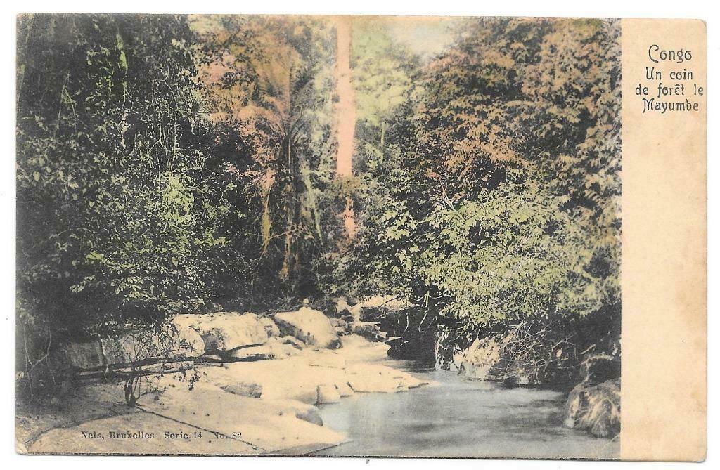 Congo un coin de foret le Mayumbe Kongo, Ophalen of Verzenden, Ongelopen, Buiten Europa