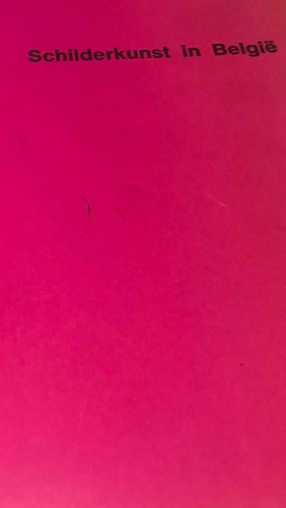 Schilderkunst in België jaren 60, 210pag Raveel Van Severen, Boeken, Kunst en Cultuur | Beeldend, Ophalen of Verzenden, Gelezen