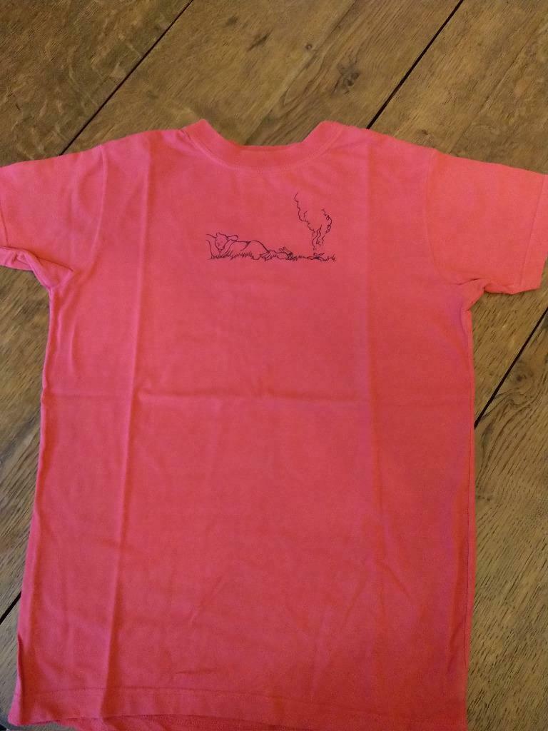 TINTIN, Enfants & Bébés, Enlèvement ou Envoi, Utilisé, Garçon ou Fille, Autres types